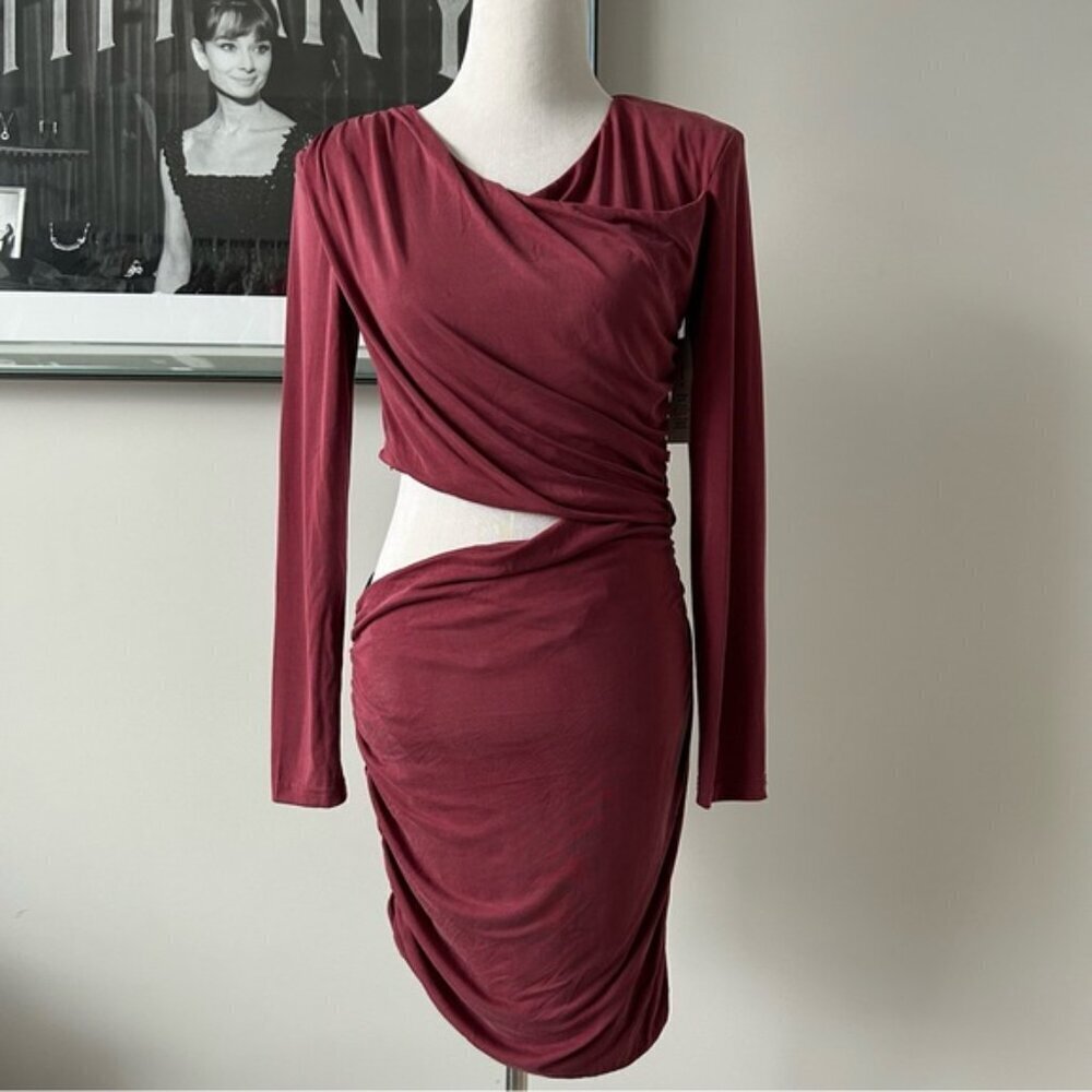 Revolve Bardot "Rosa" Ruched Dress (c) - Picture 4 of 11